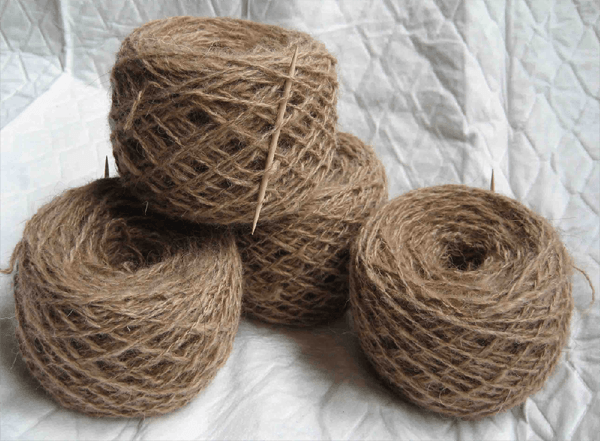 Каких собак лучше разводить для продажи: топ-5 пород с фото