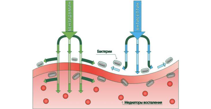 Какие обезболивающие препараты применяют для лечения кошек