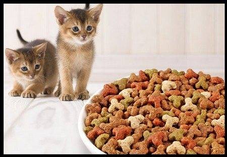 Корм для кошек «Пурина Ван» (Purina One)