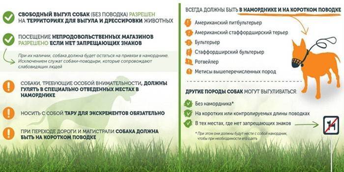 Список потенциально опасных пород собак по данным МВД России в 2022 году