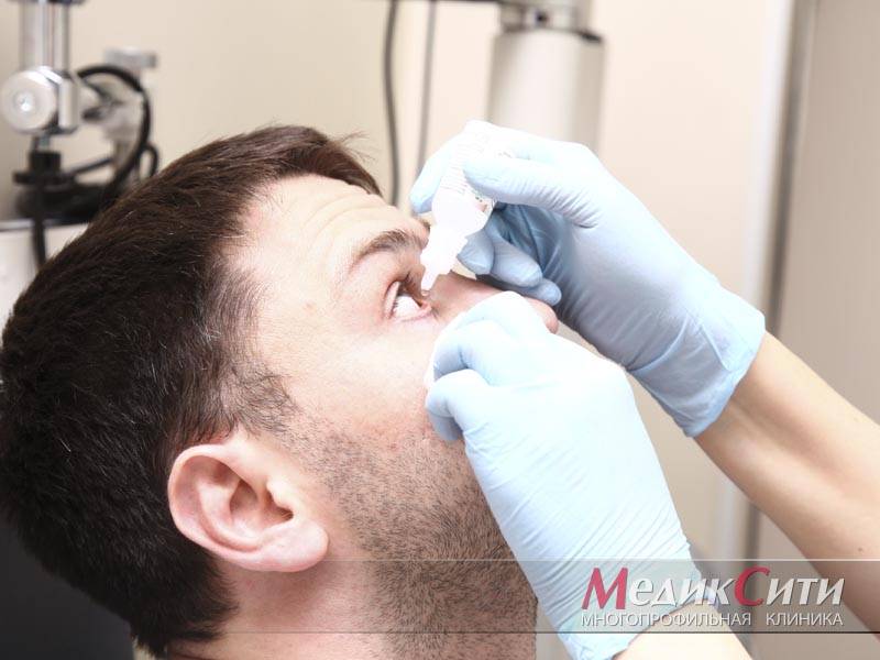 Офтальмологические капли для кошек: обзор и показания к применению