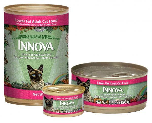 Корм для кошек марки Wellkiss